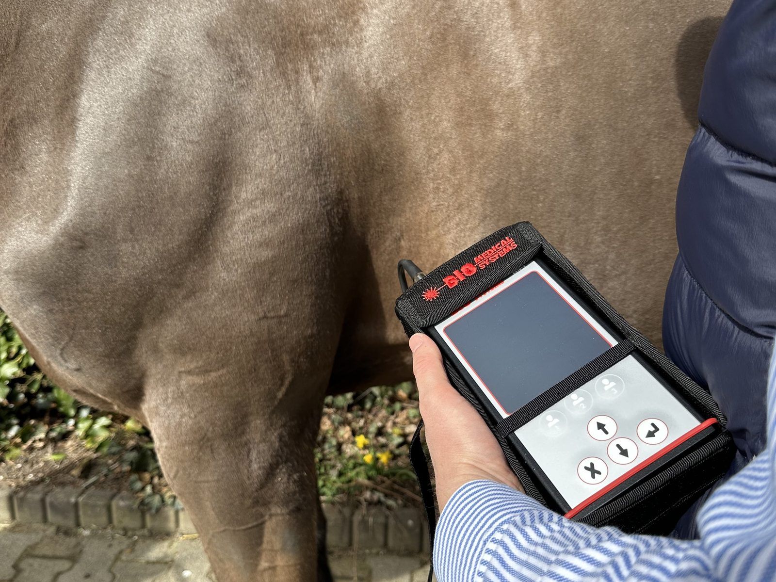 Multiprog MP 2510/2 bei der Anwendung am Pferd